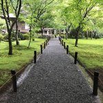 【厳選４】京都オススメ梅雨に訪れたい苔の寺院庭園☆三千院～圓光寺～南禅寺他【左京区】