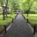 【厳選４】京都オススメ梅雨に訪れたい苔の寺院庭園☆三千院～圓光寺～南禅寺他【左京区】