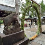 【京都まとめ】2026夏越の祓・茅の輪パトロール☆北野天満宮～平安神宮～うさぎ社他【５社】