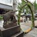 【京都まとめ】2026夏越の祓・茅の輪パトロール☆北野天満宮～平安神宮～うさぎ社他【５社】