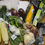 【京都野菜】地元産米さらに割安水準＆旬の夏野菜続々☆京都最大級産直市場「たわわ朝霧」