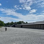 【京都朝さんぽ】四季折々の花も楽しめる！京都人が教える『京都御苑』の歩き方あれこれ☆