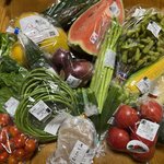 【京都市場】奈良・大阪３府県の食材揃う京都最大級の直売所！夏野菜＆フルーツ満載「旬の駅」