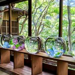 【嵐山観光】蒼緑に染まる、また訪れたい大切なスポット「嵐山祐斎亭」