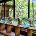 【嵐山観光】蒼緑に染まる、また訪れたい大切なスポット「嵐山祐斎亭」