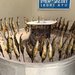【京都】やりすぎな"道の駅"を発見　鮎つかみに囲炉裏焼き、BBQまで「和（なごみ）」