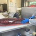 【京都】錦市場近くの穴場店！マグロ仲卸が手掛ける実力派、ランチもお得な「寿し小松」