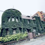 【京都建築】緑モフモフの通称『魔女の館』！？穴場レトロ洋館の国登録文化財「旧革島医院」