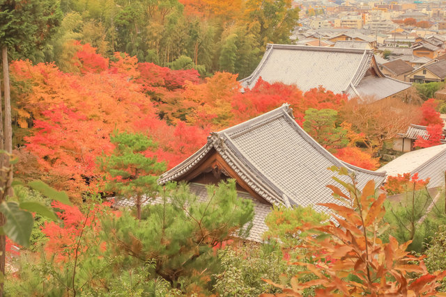 裏山からの境内