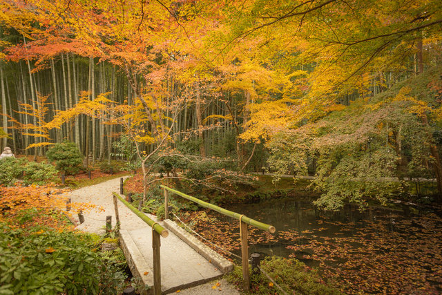 応挙竹林と栖龍池