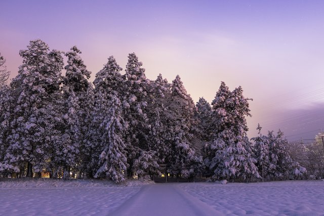阿毘地神社(あびちじんじゃ)