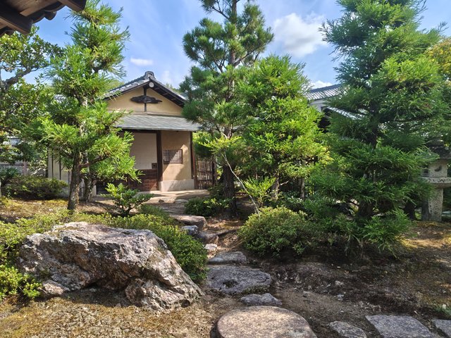 藤花 (317861)