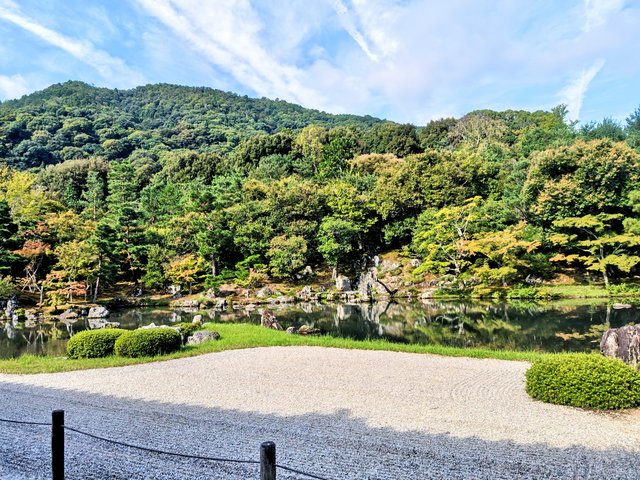 藤花 (317864)