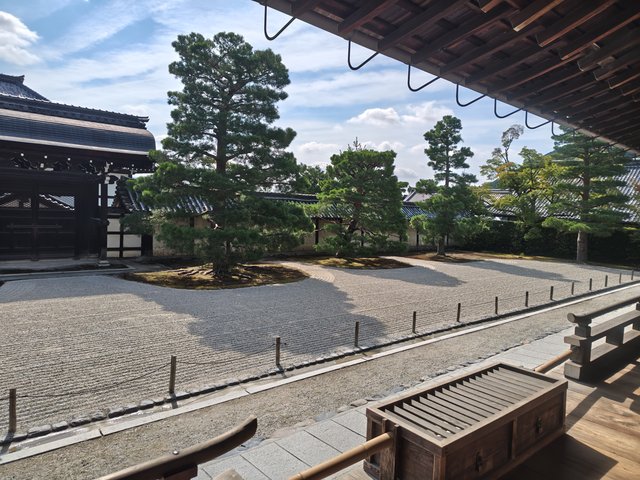 藤花 (317865)